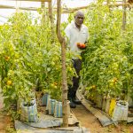 Robert Kivayiru Mulemi