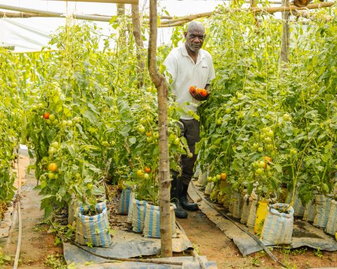 Robert Kivayiru Mulemi
