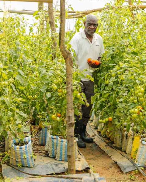 Robert Kivayiru Mulemi