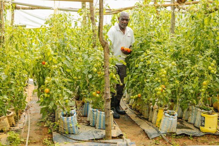 Robert Kivayiru Mulemi