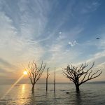 The skyline over inyanza