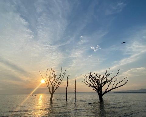 The skyline over inyanza