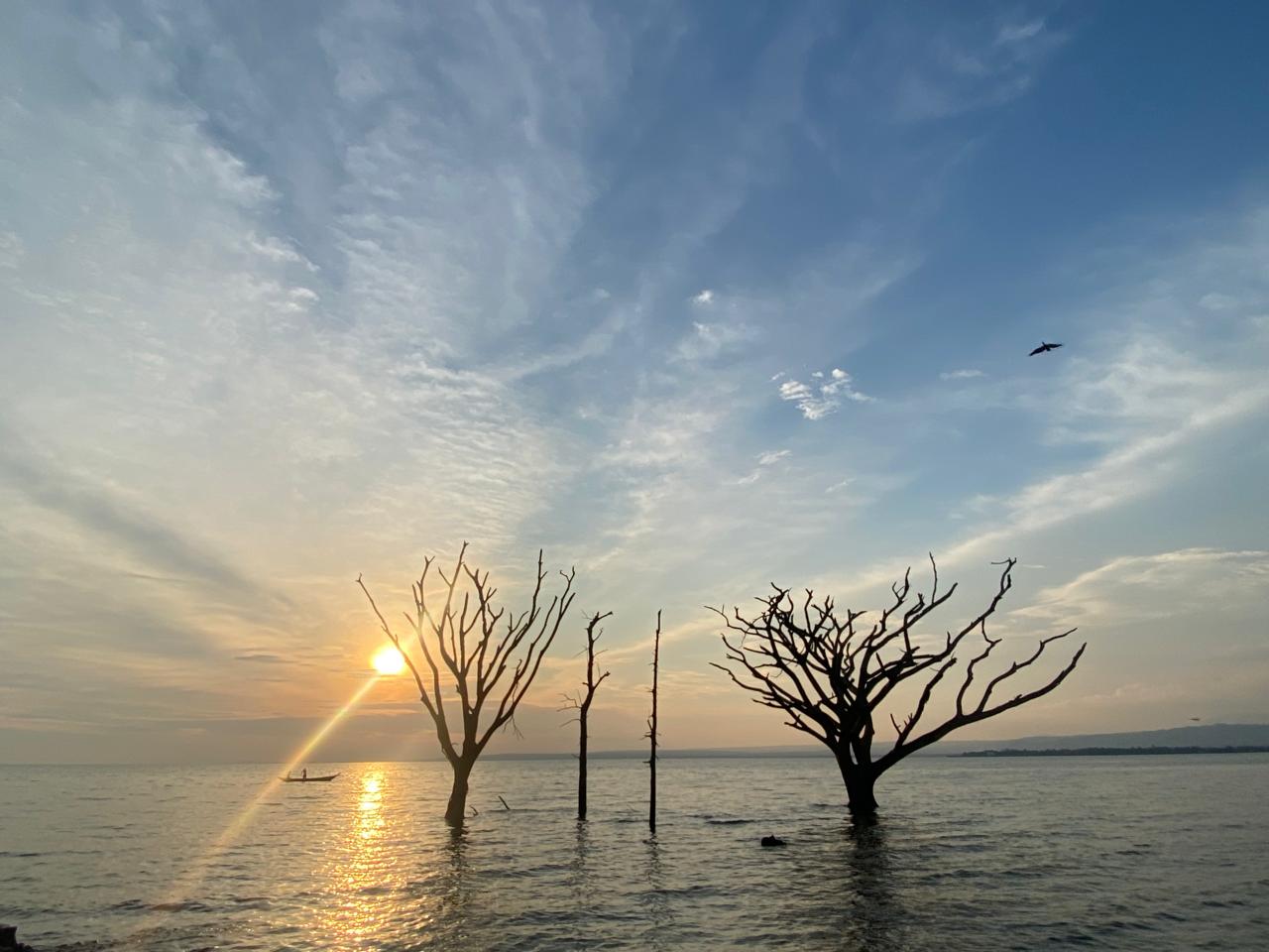 The skyline over inyanza