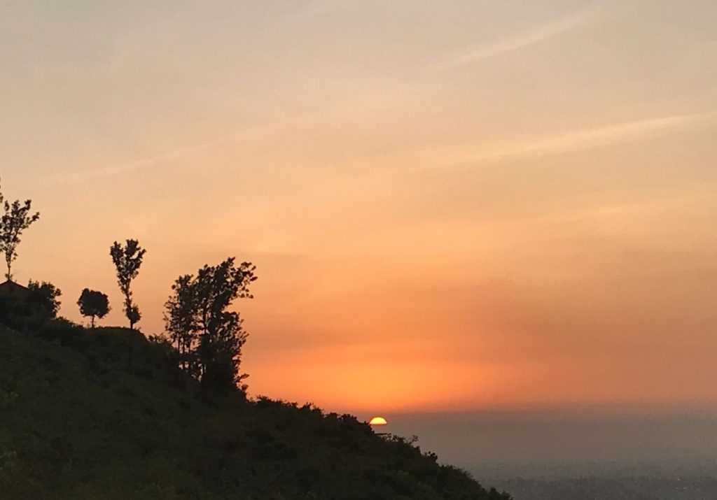 An old man’s last bow DEATH TRANSITION