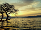 When the hum of the ferry carried my grief away into Nam Lolwe
